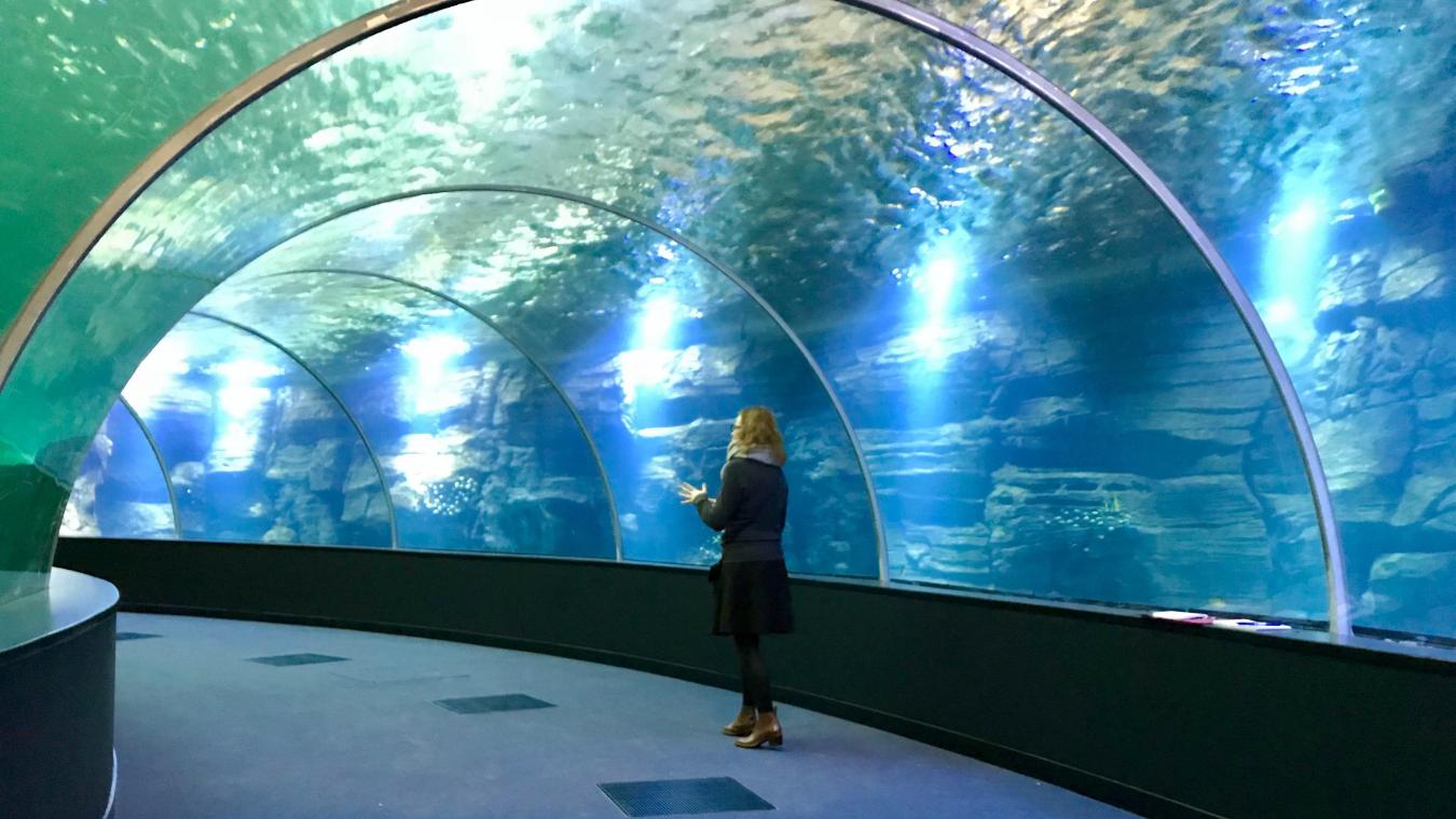 Relevé par scanner 3D du musée de la mer Nausicaa